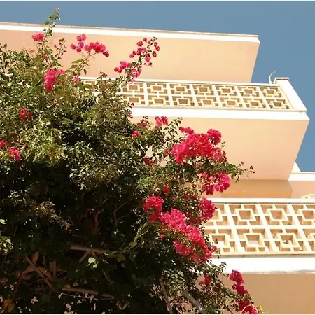 Casa De La Vida *